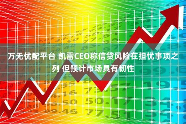 万无优配平台 凯雷CEO称信贷风险在担忧事项之列 但预计市场具有韧性