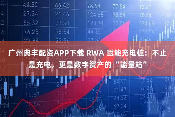 广州典丰配资APP下载 RWA 赋能充电桩：不止是充电，更是数字资产的 “能量站”