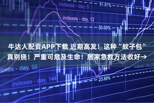 牛达人配资APP下载 近期高发！这种“蚊子包”真别挠！严重可危及生命！居家急救方法收好→